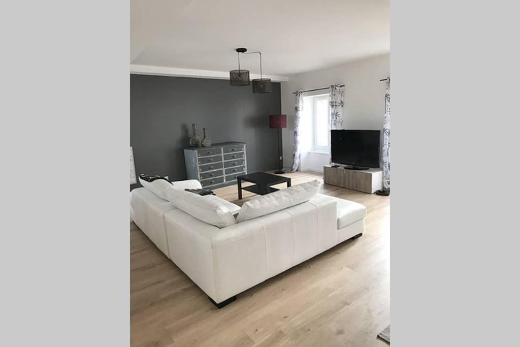 Annonay Centre, Grand Appartement Cosy, 3 Chambres Eksteriør bilde